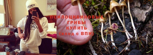 не бодяженный Алзамай