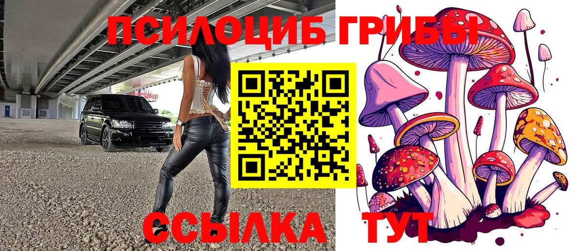 Псилоцибиновые грибы прущие грибы Егорьевск
