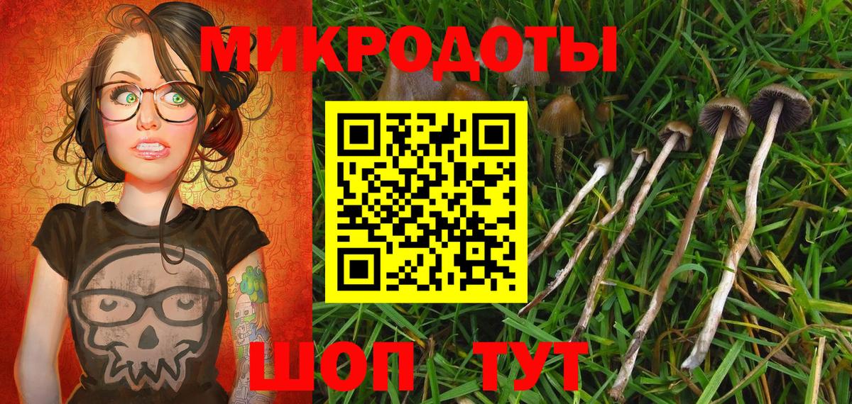 Егорьевск  Псилоцибиновые грибы мицелий  Вход с VPN 