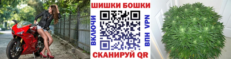 наркота  Егорьевск  omg рабочий сайт  Конопля гибрид 